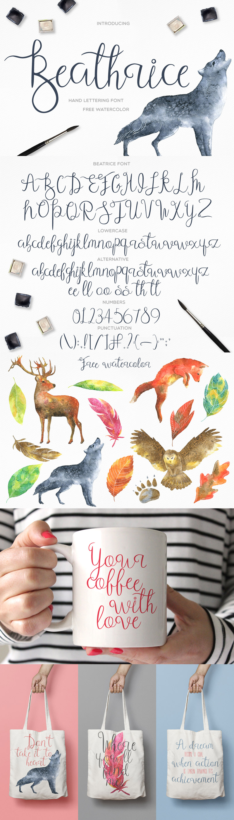 design elements bundle - massive graphic design bundle - best_bundle_2350_design_elements