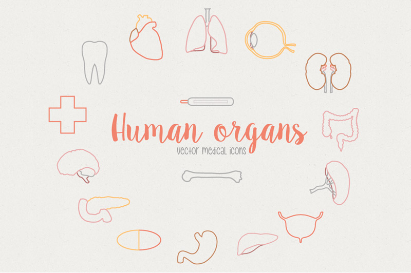 design elements bundle - massive graphic design bundle - best_bundle_2350_design_elements
