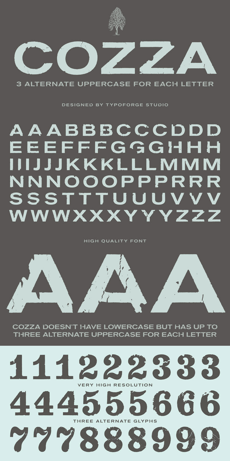 magnificent font bundle - 1