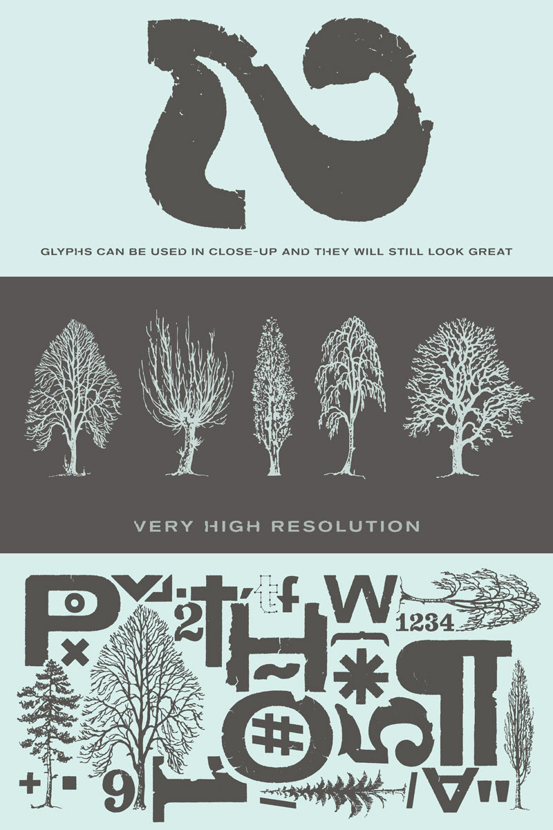 magnificent font bundle - 2