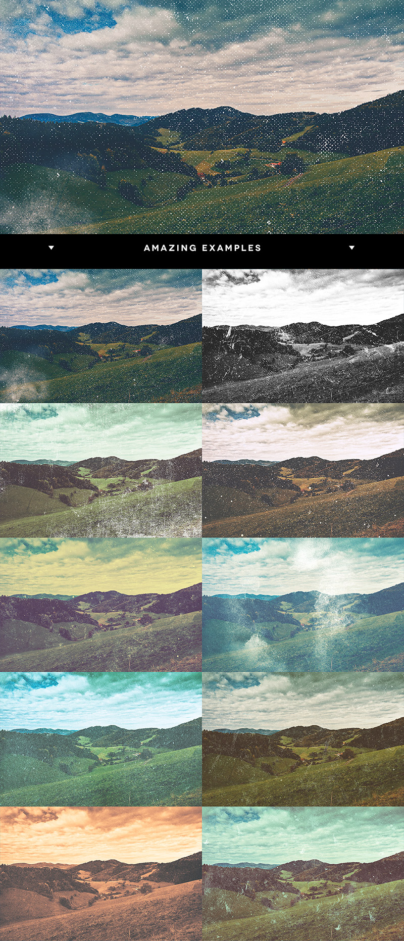 late summer design elements - 9