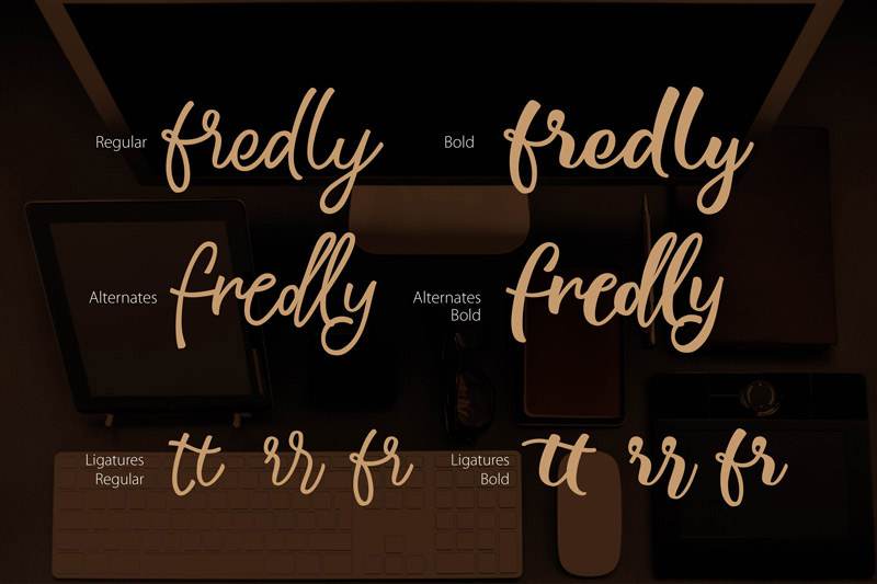 unique font collection - collection-of-11-unique-fonts-cover-preview-10
