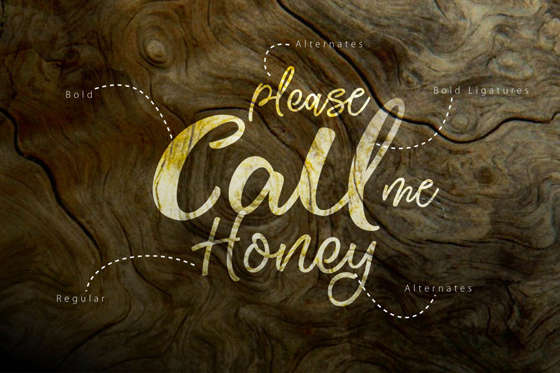 unique font collection - collection-of-11-unique-fonts-cover-preview-11