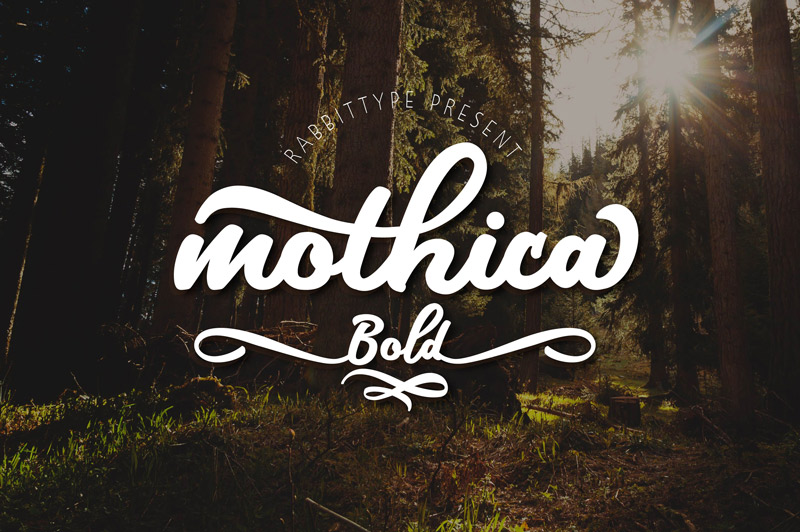 unique font collection - collection-of-11-unique-fonts-cover-preview-33