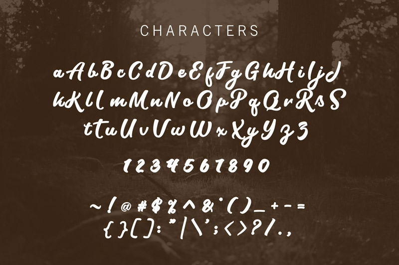 unique font collection - collection-of-11-unique-fonts-cover-preview-34