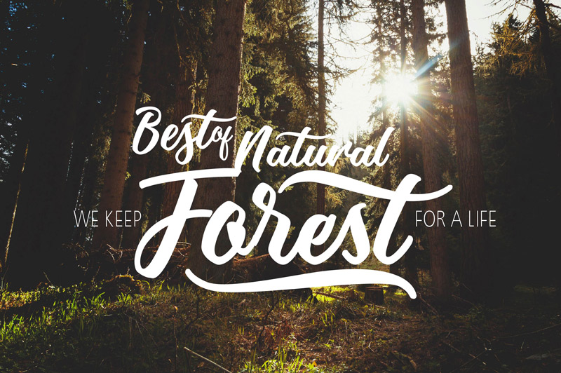unique font collection - collection-of-11-unique-fonts-cover-preview-42