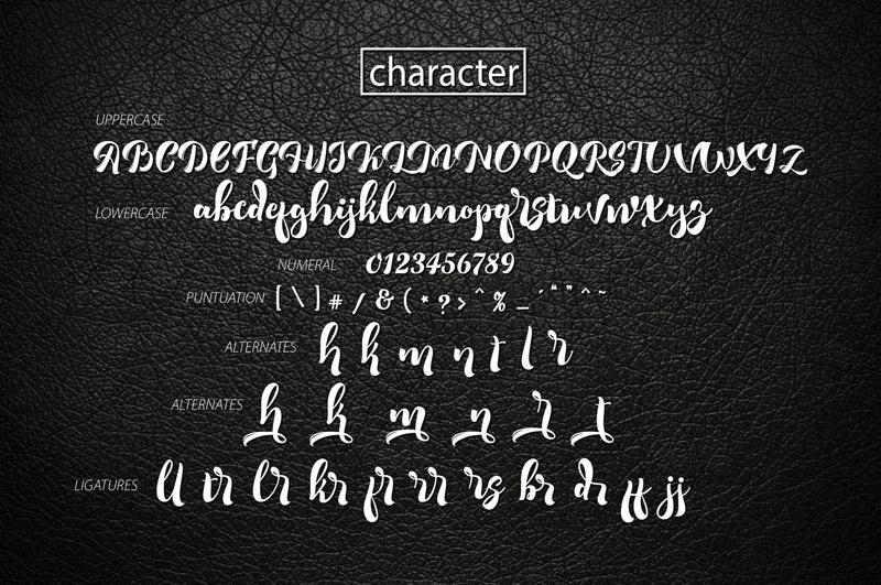unique font collection - collection-of-11-unique-fonts-cover-preview-59