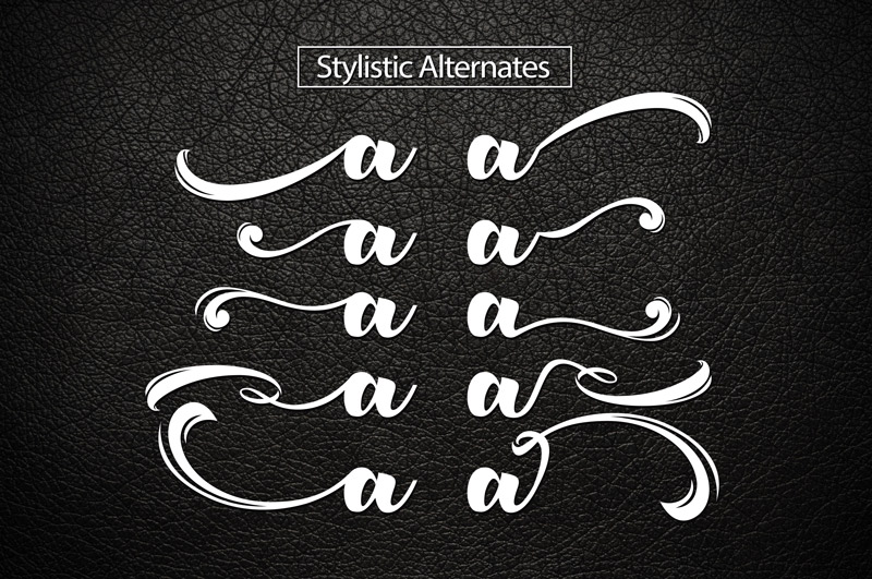 unique font collection - collection-of-11-unique-fonts-cover-preview-60