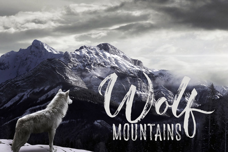 unique font collection - collection-of-11-unique-fonts-cover-preview-75
