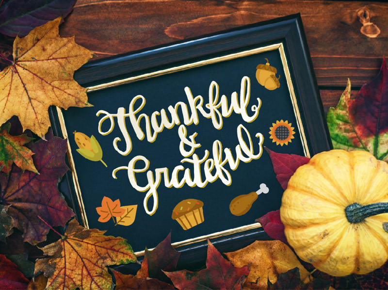 free thanksgiving icons - free-thanksgiving-day-icons-pack-preview-07