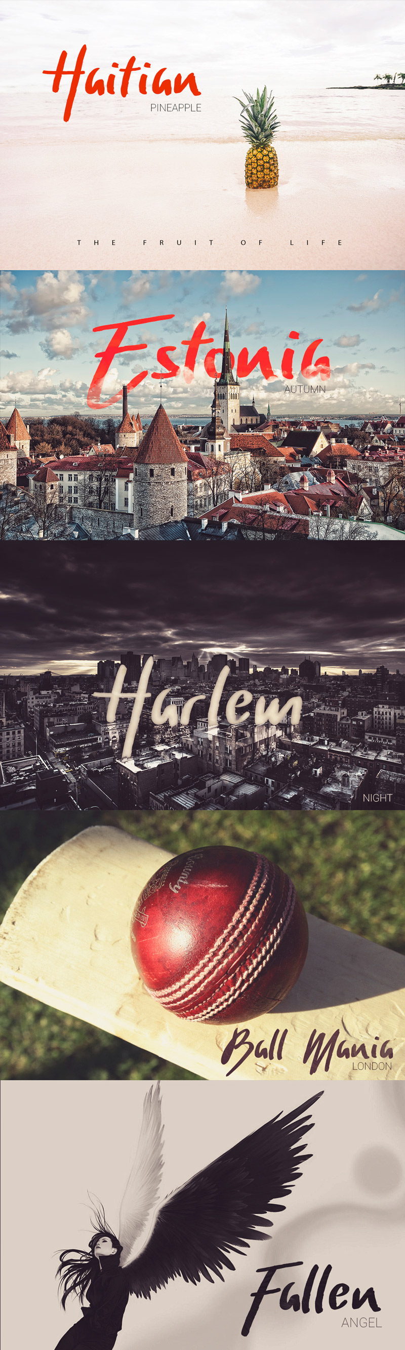 magnificent graphics bundle - magnific-mix-of-graphics-previews-10