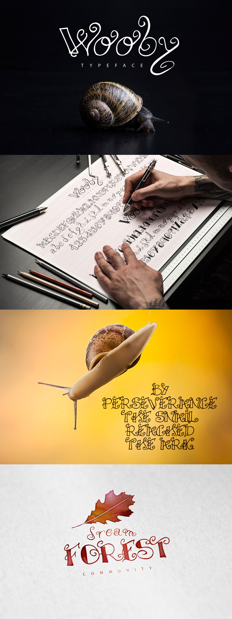 magnificent graphics bundle - magnific-mix-of-graphics-previews-17