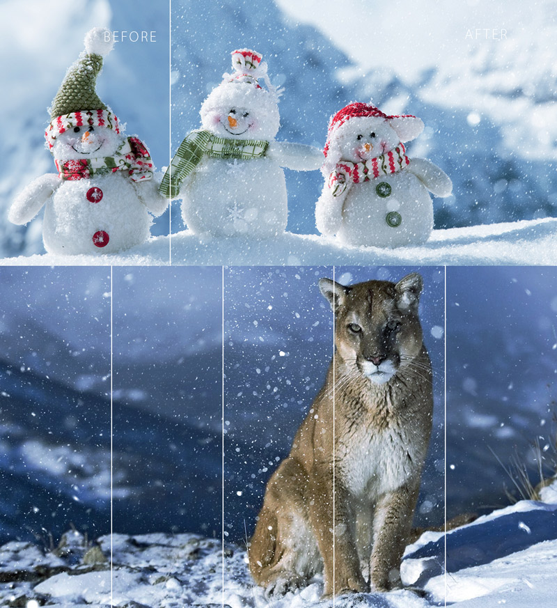 mammoth backgrounds bundle - 25-1