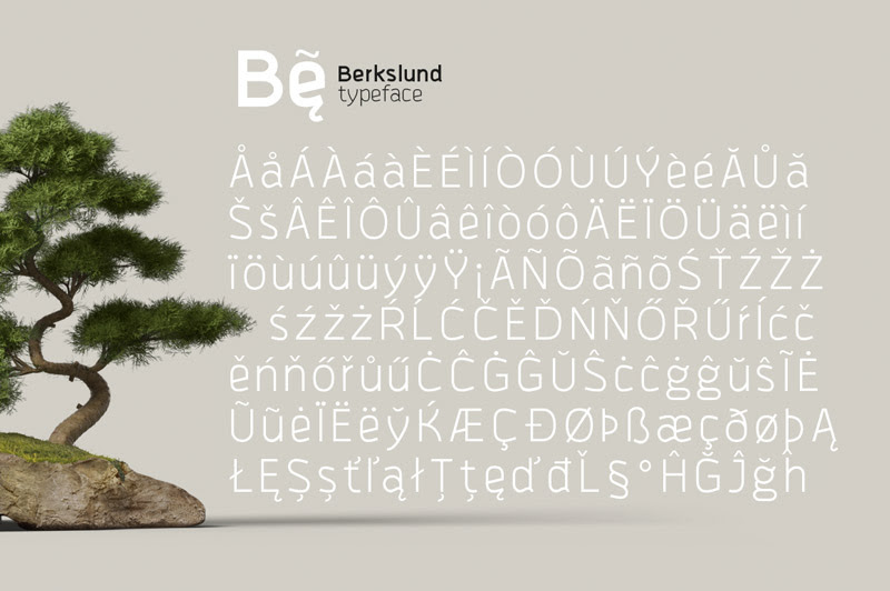 august font bundle - 16