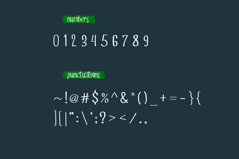 august font bundle - 4