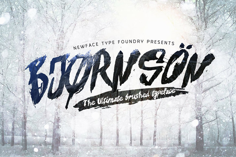 august font bundle - August Best Fonts Preview 49