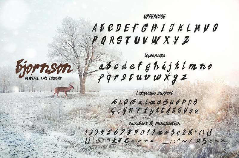 august font bundle - August Best Fonts Preview 50