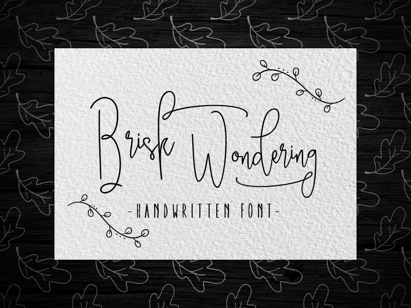 steller bundle fonts - steller-bundle-11-fonts-05