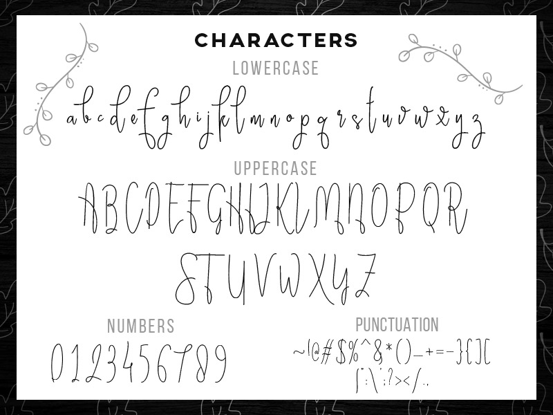 steller bundle fonts - steller-bundle-11-fonts-06