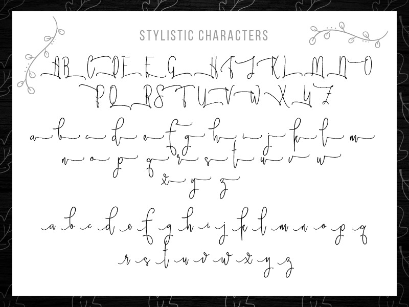 steller bundle fonts - steller-bundle-11-fonts-07