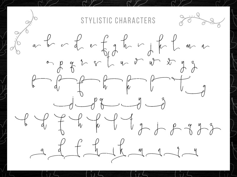 steller bundle fonts - steller-bundle-11-fonts-08