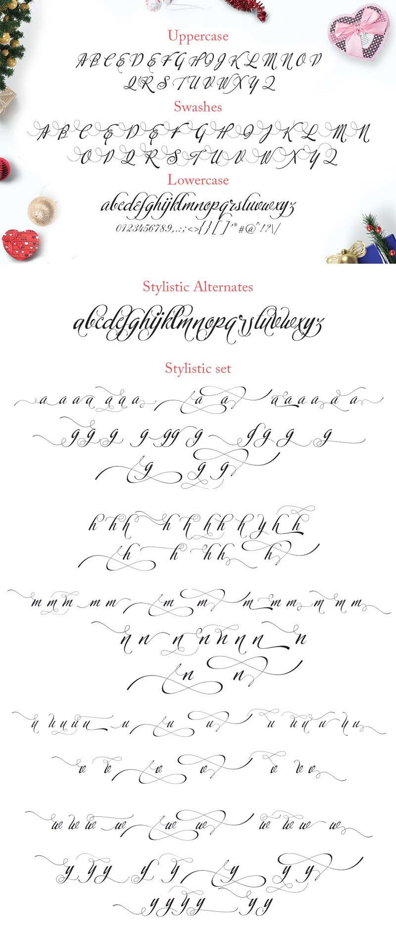 steller bundle fonts - steller-bundle-11-fonts-11