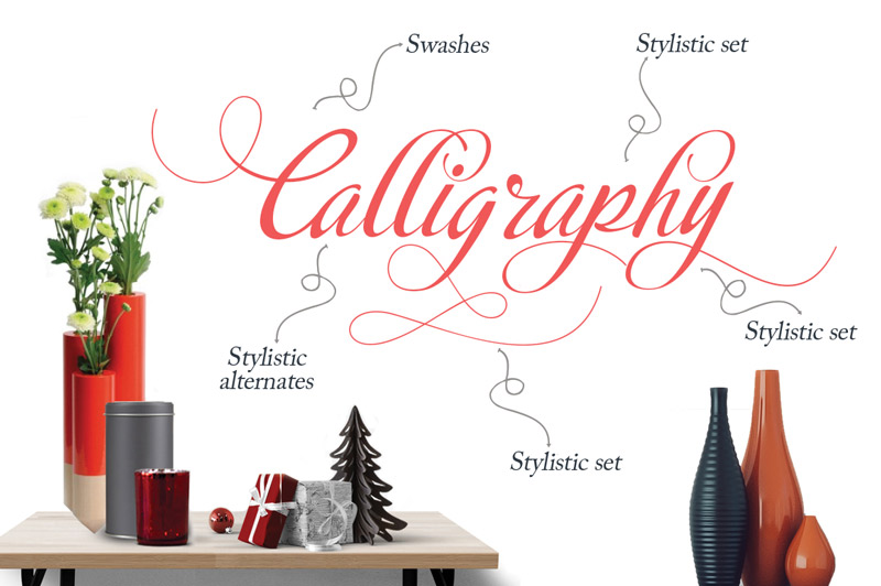 steller bundle fonts - steller-bundle-11-fonts-12