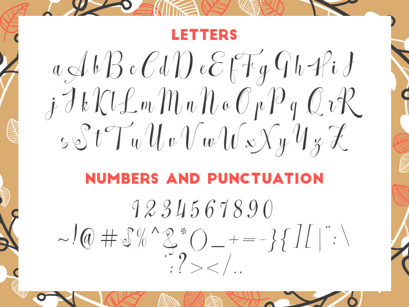 steller bundle fonts - steller-bundle-11-fonts-20