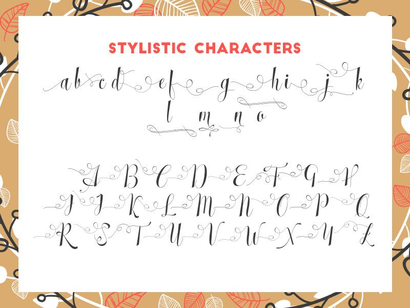 steller bundle fonts - steller-bundle-11-fonts-21