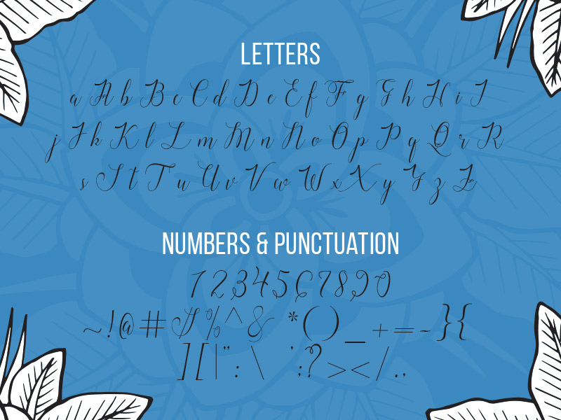 steller bundle fonts - steller-bundle-11-fonts-23