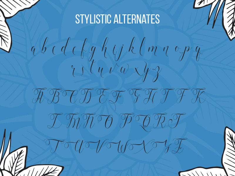 steller bundle fonts - steller-bundle-11-fonts-24
