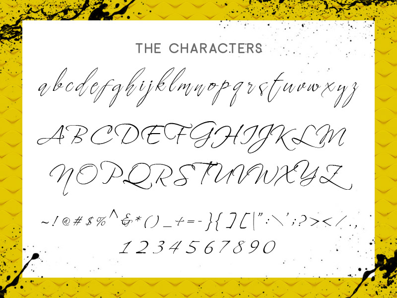 steller bundle fonts - steller-bundle-11-fonts-26