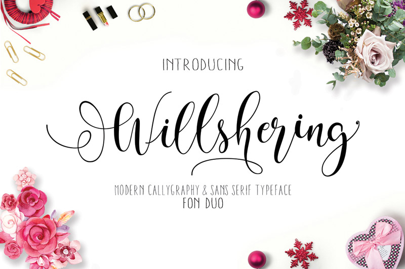 steller bundle fonts - steller-bundle-11-fonts-28