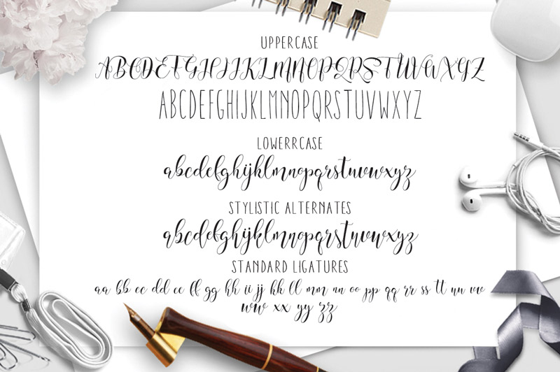 steller bundle fonts - steller-bundle-11-fonts-29