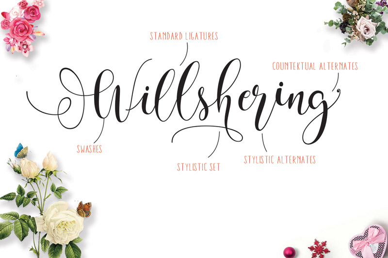 steller bundle fonts - steller-bundle-11-fonts-30