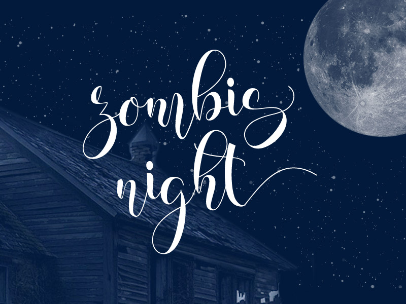 steller bundle fonts - steller-bundle-11-fonts-32