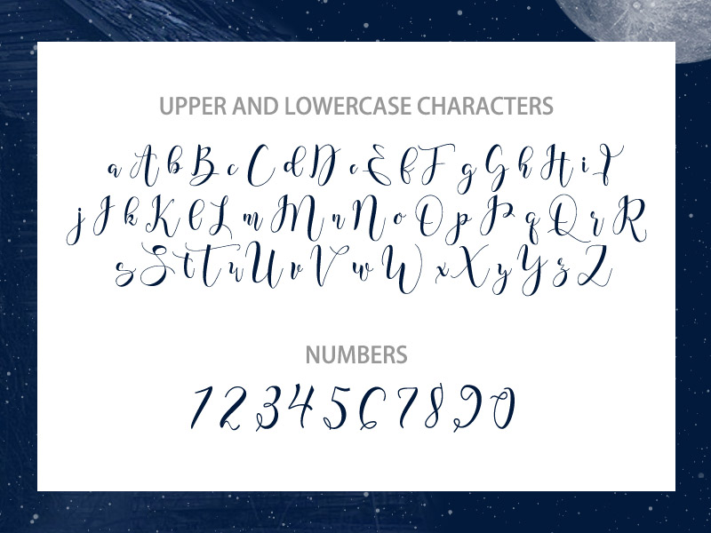 steller bundle fonts - steller-bundle-11-fonts-33