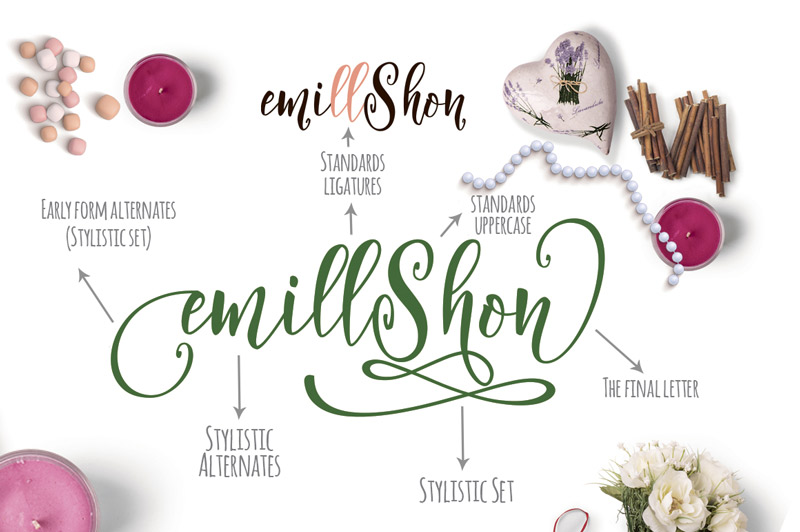 steller bundle fonts - steller-bundle-11-fonts-37