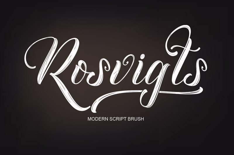 steller bundle fonts - steller-bundle-11-fonts-40