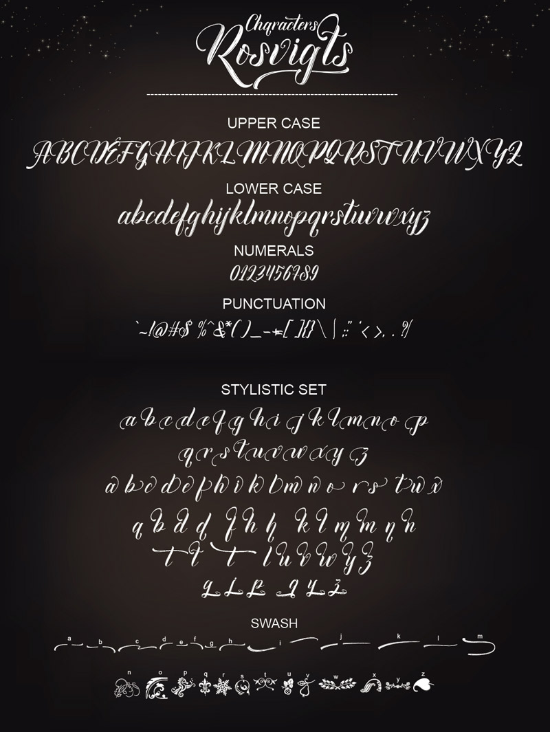 steller bundle fonts - steller-bundle-11-fonts-41