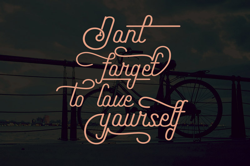 steller bundle fonts - steller-bundle-11-fonts-51