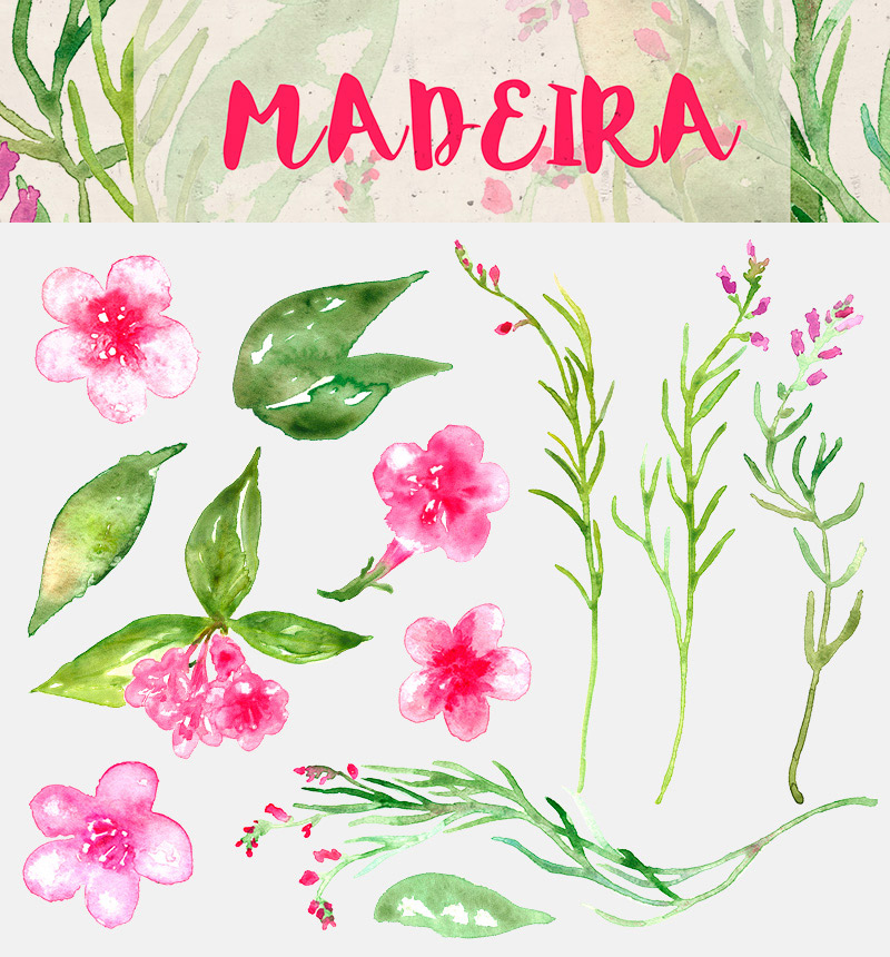 spring watercolor elements - 590 watercolor elements - Spring-Bundle-Preview-17