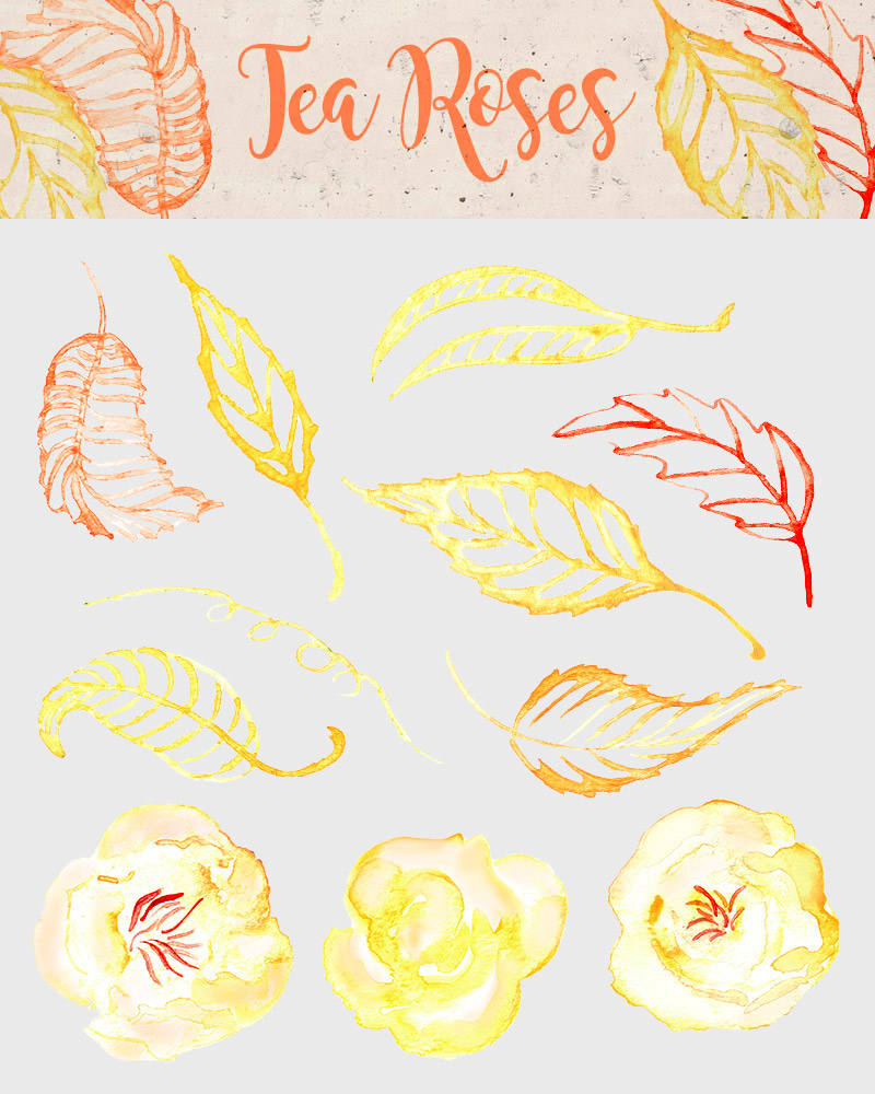 spring watercolor elements - 590 watercolor elements - Spring-Bundle-Preview-29