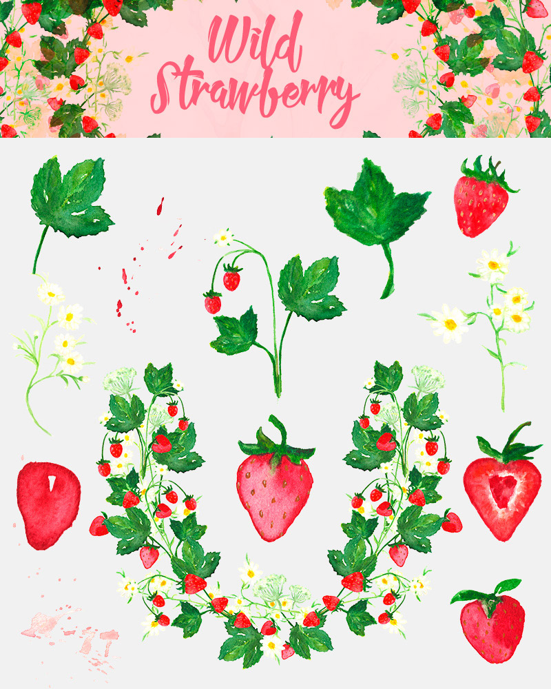 spring watercolor elements - 590 watercolor elements - Spring-Bundle-Preview-31