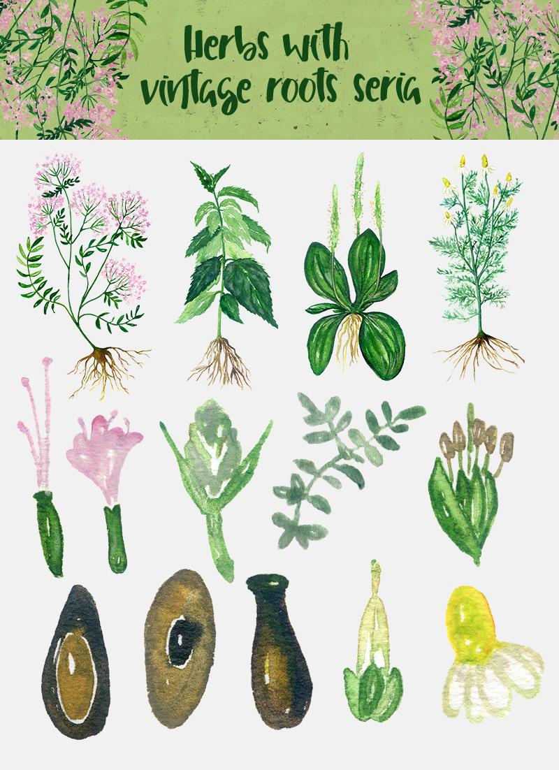 spring watercolor elements - 590 watercolor elements - Spring-Bundle-Preview-35