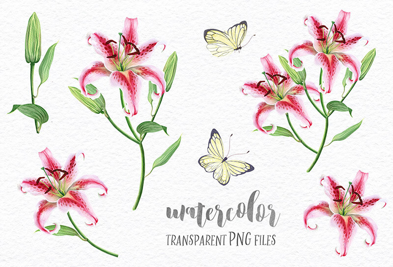 free watercolor lilies - FREE-Delicate-Watercolor-Lilies-Preview-01