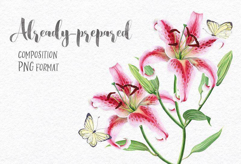 free watercolor lilies - FREE-Delicate-Watercolor-Lilies-Preview-02