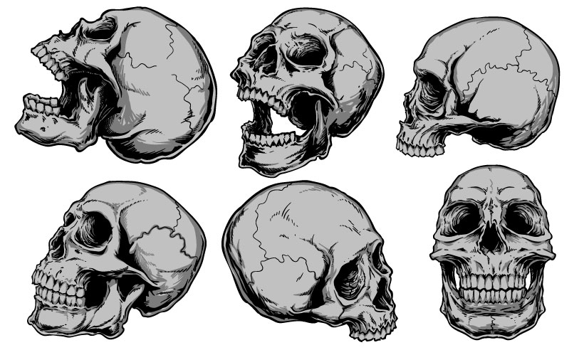 high quality vector graphics - graphic design vectors