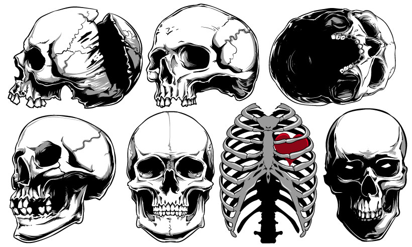 high quality vector graphics - vector templates