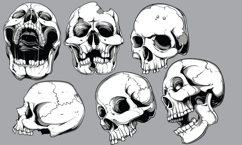 high quality vector graphics - vector templates